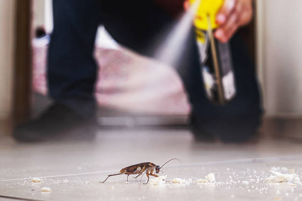 Best Residential Pest Control  in Bren Arrow, OK