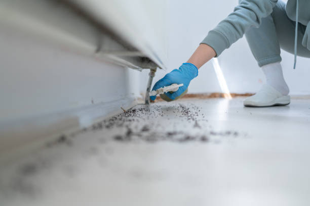 Pest Prevention Services in Broken Arrow, OK